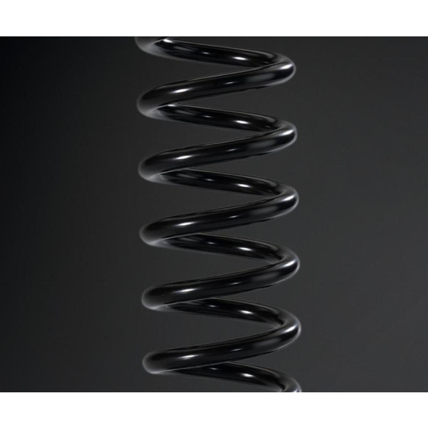 Kawasaki REAR SHOCK SPRING